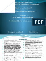 Trabajo de Material de Informacion Promocion de Salud Eduardo - Docx 2