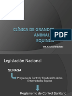 CLÍNICA DE GRANDES ANIMALES Legislación