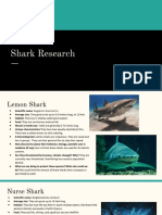 Shark Species Research