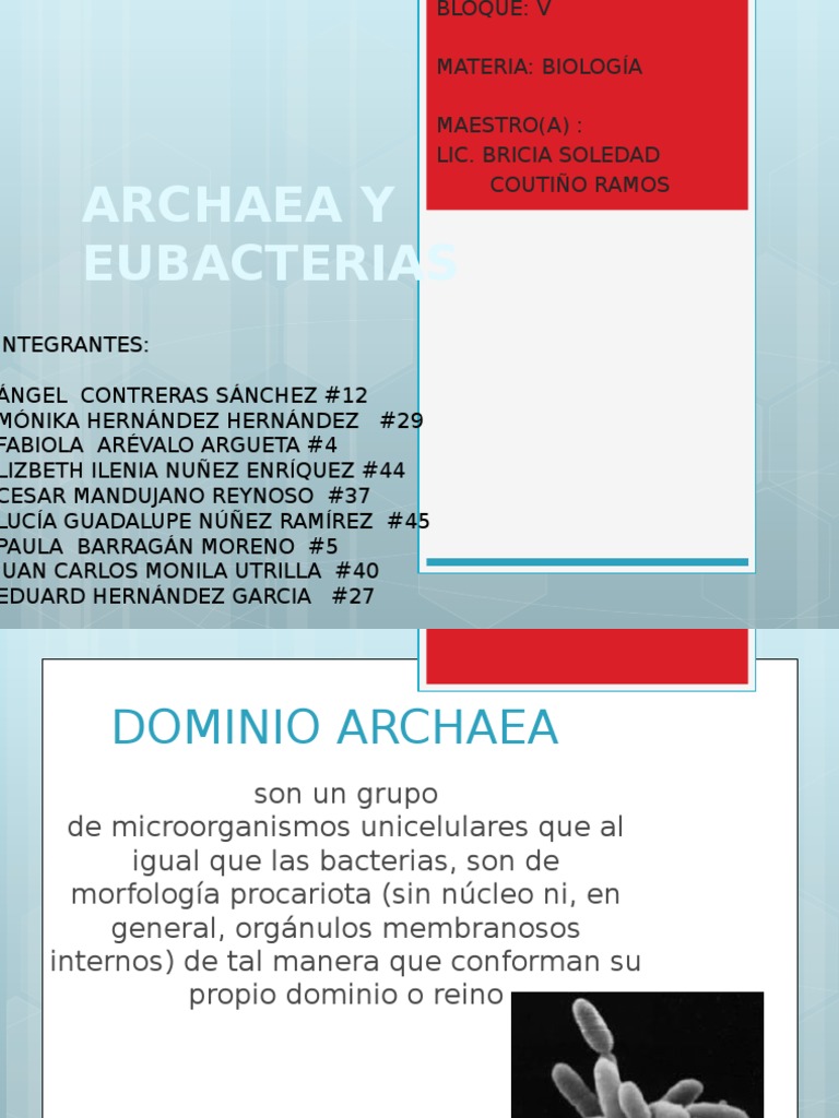 Estructura y Clasificación de Arqueas y Eubacterias | PDF | Archaea ...