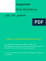 Assignment: - Tugasan PGSR Dis 2010 (KKBI) .Doc - SCE - 3107 - Practicals