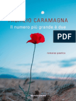 Il Numero Piu Grande e Due PDF