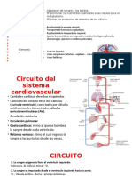 Fisiologia Cardiovascular, Propiedades Del Corazon, Hemodinamica