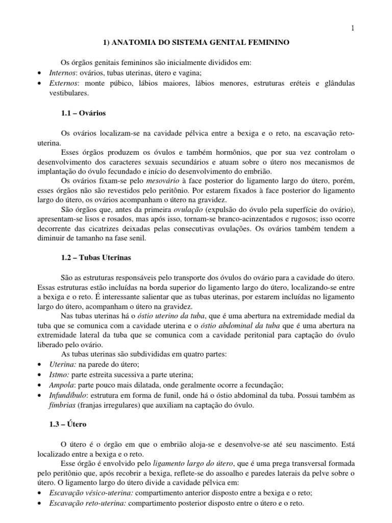 Aparelho reprodutor feminino de serpente, evidenciando os ovários