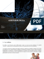 Asfixiologia