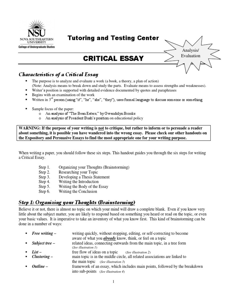 Critical Essay Writing Guide | PDF | Essays | Epistemology