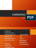 Garrapatas - Compressed