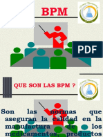 Capacitacion en BPM PDF