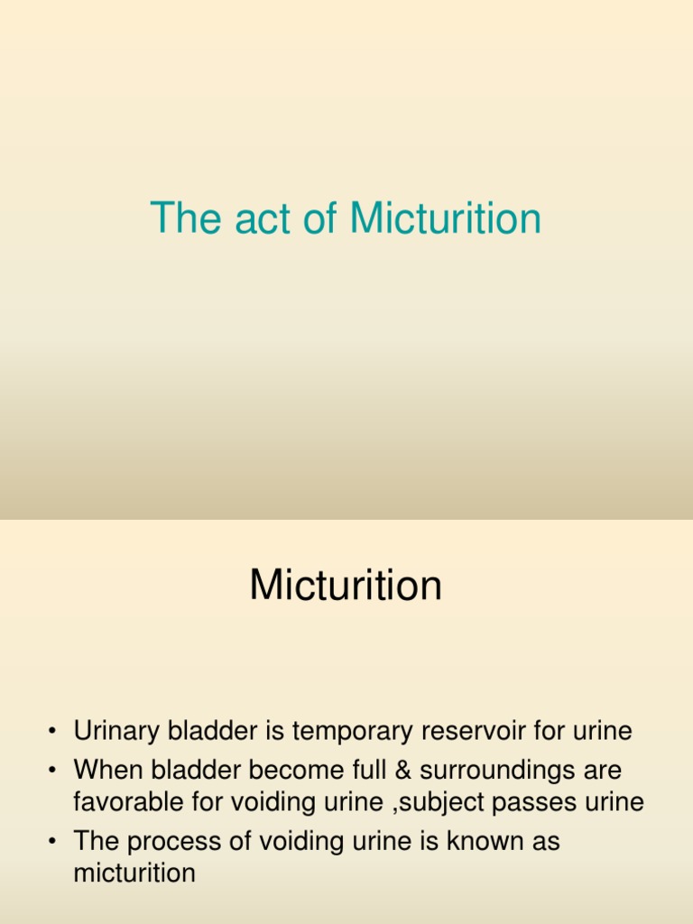 Micturition Reflex and Physiology Explained | PDF | Urination | Urinary ...