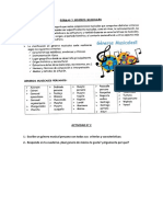 GENEROS Y FORMAS MUSICALES - ACTIVIDAD N°2 Cuaderno PDF