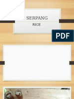 SERPANG2.pptx