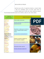 tecnicasfossil-CUBA.pdf