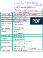 Orificios y Aberturas de Las Fosas Craneales PDF