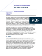 EFICIENCIA ECONOMICA.docx