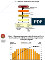 Diagrama de Utilizacion de Energia en Novillos