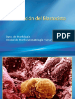 Implantación Del Blastocisto - 2012