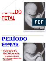 Clase 8 Período Fetal.ppt