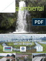 CARta_ambiental.pdf