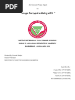 " Image Encryption Using AES ": End Semester Project Report On