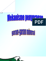 Mekanisme Penyerapan Garam2 Mineral-Edit PDF