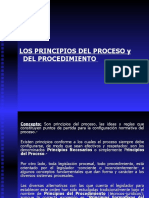 los_principios_del_proceso.ppt