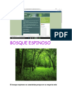 Bosque Espinoso