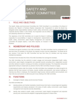Fuction of HSE Committee PDF
