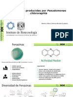 Fenazinas Producidad Por P Chlororaphis