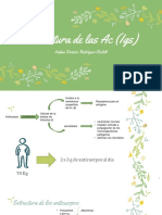 Estructura de Las Igs PDF
