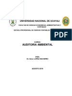 Auditoria Ambiental 2019.pdf