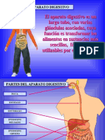 Aparato Digestivo 40789 17450 PDF