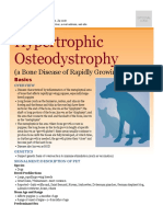 Hypertrophic Osteodystrophy: (A Bone Disease of Rapidly Growing Puppies)