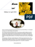 Cymbidium Chatter': Edition 3a April 2020
