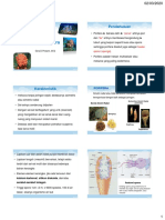 Filum Porifera PDF