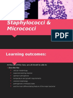 Staphylococci & Micrococci