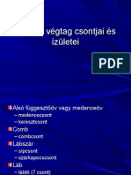 Az alsó végtag csontjai és ízületei.ppt