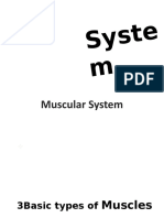 Muscul Ar: Syste M