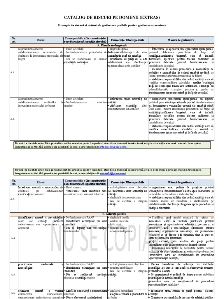 Exemple Riscuri | PDF