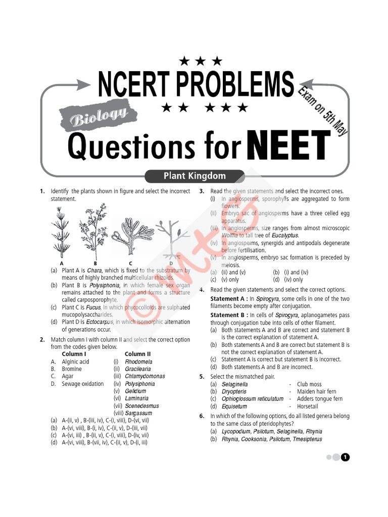 Free Biology Questions For NEET 1 PDF | PDF | Biological Processes | Plants