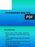 Pewarnaan Bakteri PDF