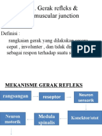 LO 4 Refleks Dan Neuromuscular Junction