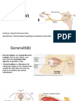 Nervul IV