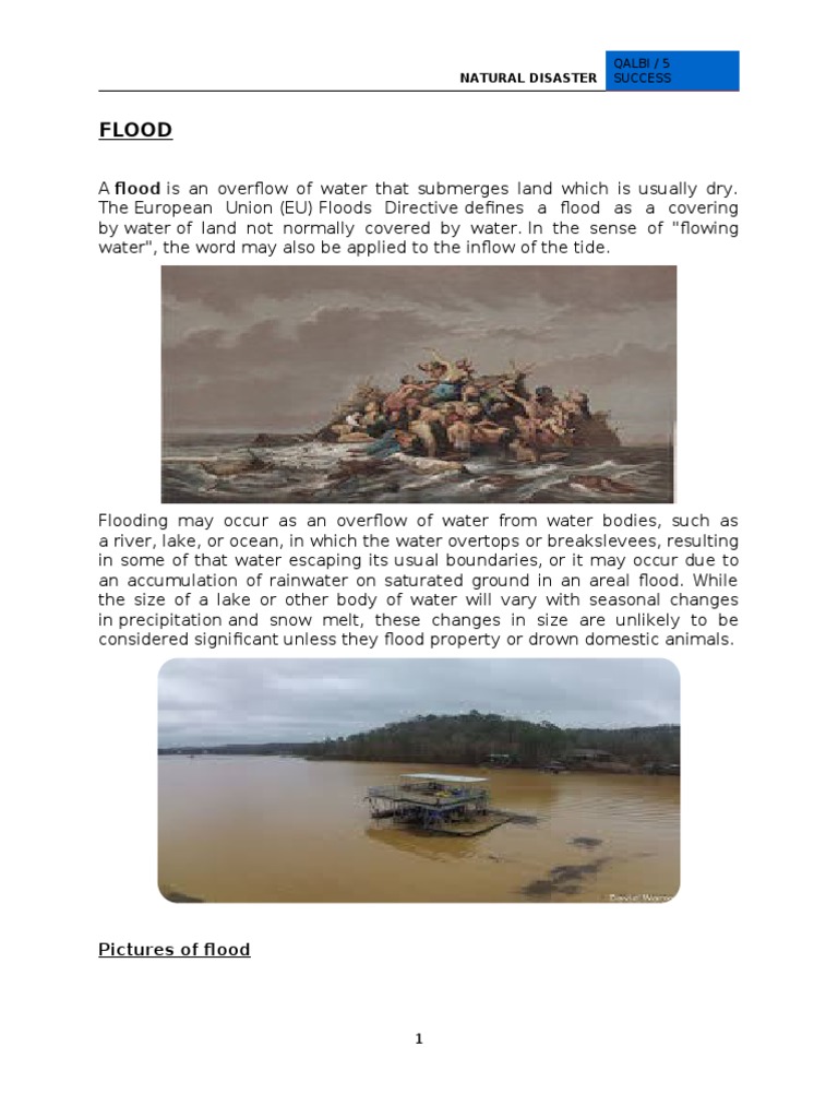 Understanding Floods as Natural Disasters | PDF | Earthquakes | Volcano