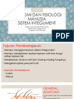 Sistem Integumentary PDF