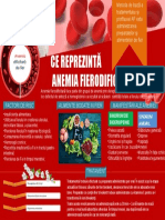 Anemia Fierodificitara