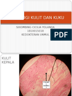 Histologi Kulit Dan Kuku (Sihombing C.y.1810015018)