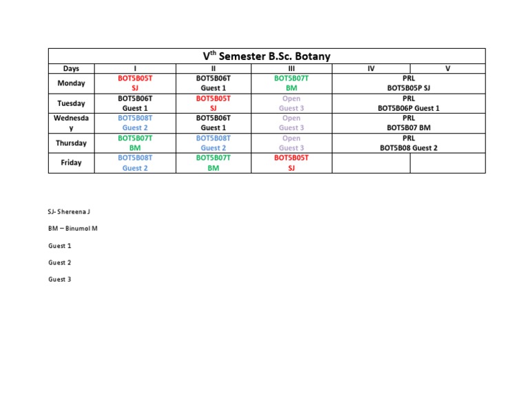 Time Table VTH Sem | PDF