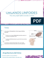 Órganos Linfoides