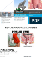 Hemoroid Penyuluhan