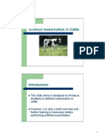 Artificial Insemination in Cattle